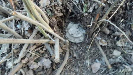 Ağcabədidə tank əleyhinə mina partladıcısı aşkar edilib