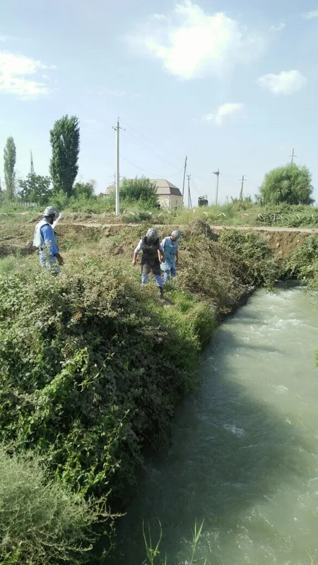 Ağcabədidə yol kənarından top mərmisi tapılıb