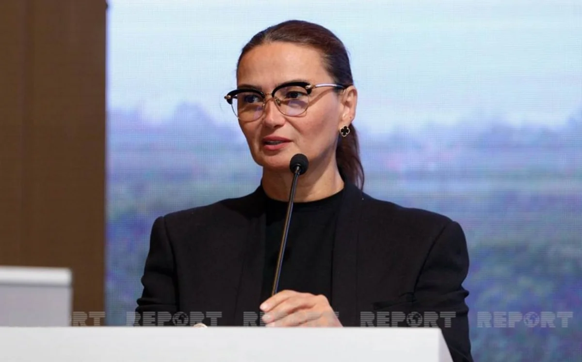 Qənirə Paşayeva: “Bölgələrdəki mədəniyyət evlərinin işi gözə dəymir”