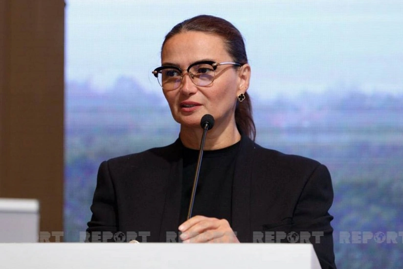 Qənirə Paşayeva: “Bölgələrdəki mədəniyyət evlərinin işi gözə dəymir”