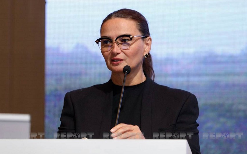 Qənirə Paşayeva: “Bölgələrdəki mədəniyyət evlərinin işi gözə dəymir”