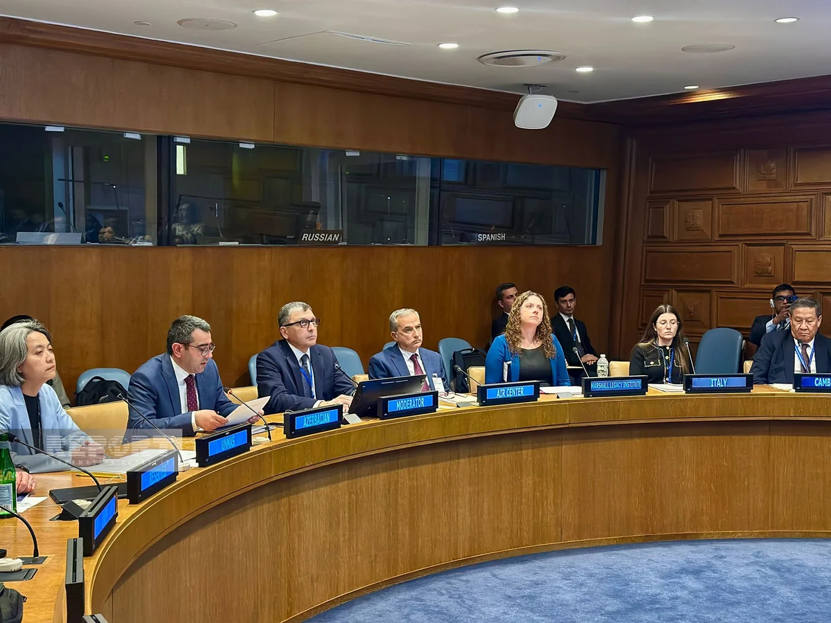 BMT-də Azərbaycanın mina problemi ilə bağlı brifinq keçirilib