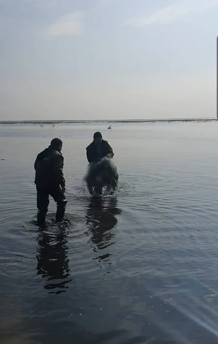 Xəzərin sahili sintetik torlardan təmizlənir