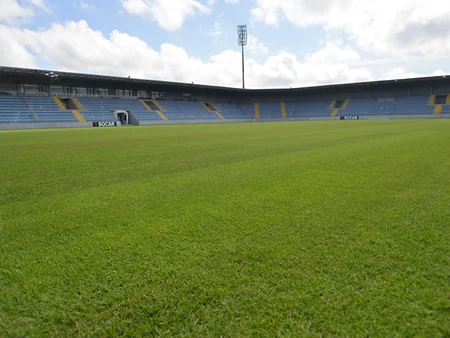 AFFA Bakıdakı stadionlardan birinin süni örtüyünü təbii ot örtüyü ilə əvəzləyib