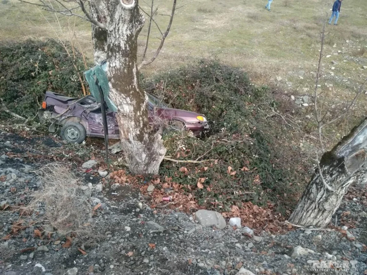В Огузе автомобиль врезался в дерево, пострадали 2 брата
