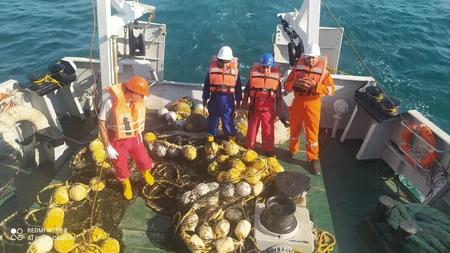 Xəzərdə kompleks ekoloji monitorinqlər davam edir