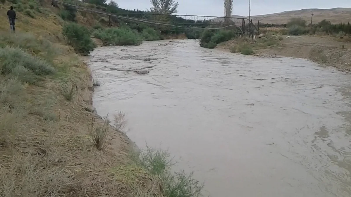 Hacıqabulda mal-qara otaran azyaşlı çaya yıxılaraq boğulub, onun meyiti sudan çıxarılıb