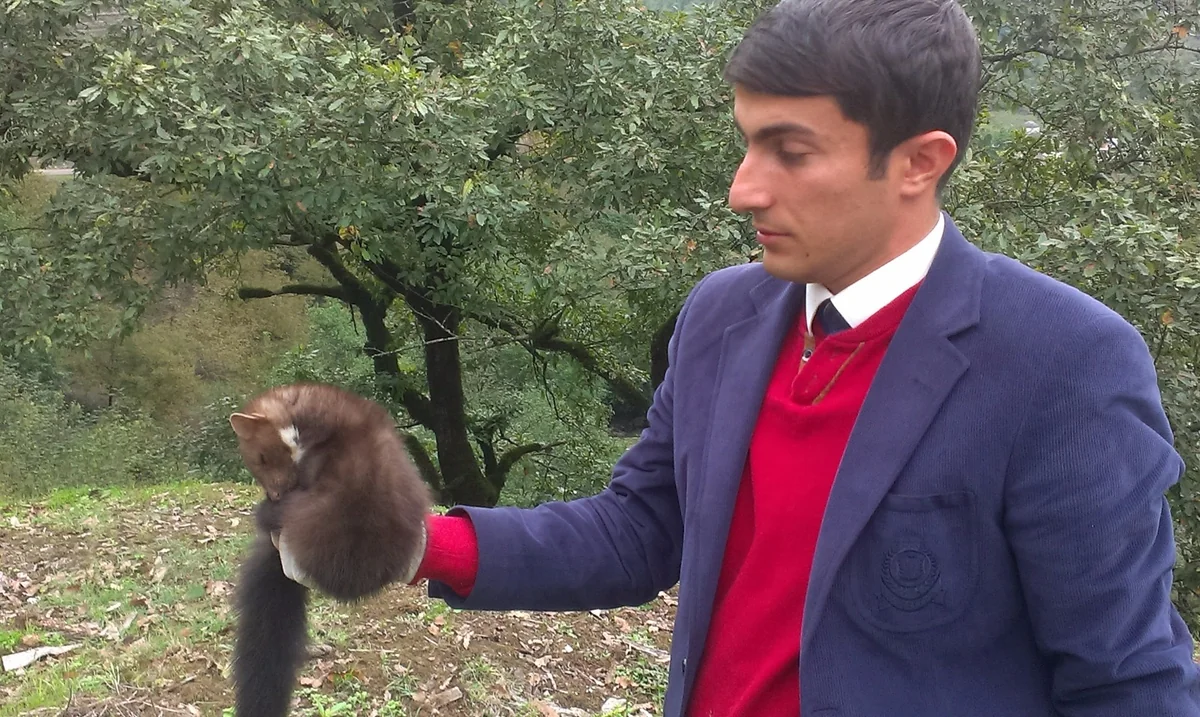 Lerik sakini həyətində nadir rast gəlinən heyvan aşkar edib