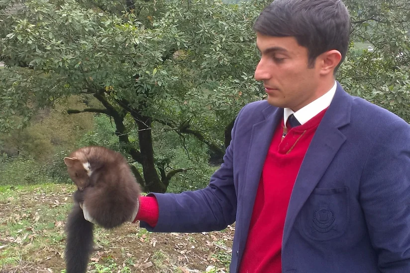 Lerik sakini həyətində nadir rast gəlinən heyvan aşkar edib