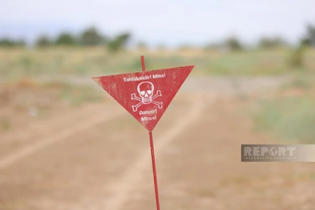 Over 1,130 hectares cleared of mines in Azerbaijan's liberated lands last week