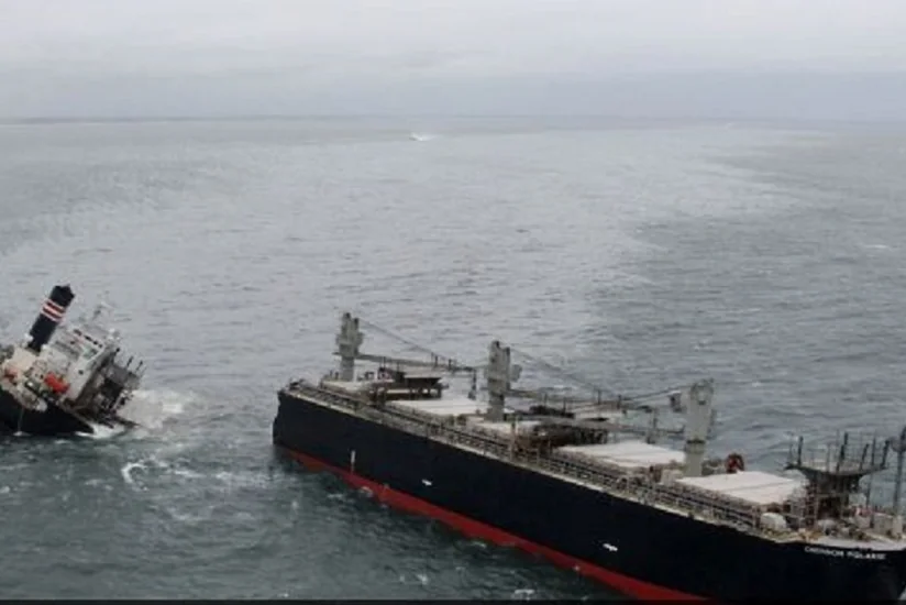 В Японии не могут обнаружить круизное судно с 26 людьми