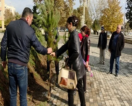 Respublika üzrə ümumilikdə 120 minə yaxın pulsuz ağac tingi paylanılıb