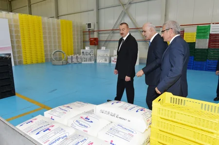 Prezident İlham Əliyev Balaxanı Sənaye Parkının açılışında iştirak edib