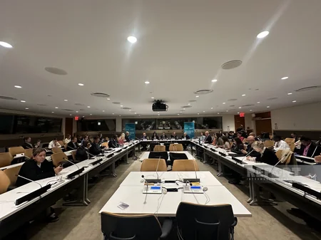 COP29 Presidency organizes UN Roundtable on Climate, Peace and Human Mobility