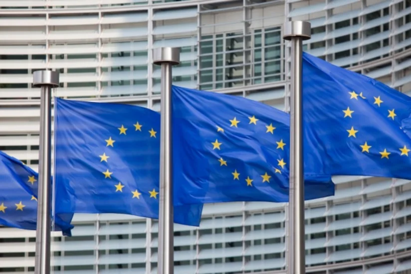 Главы МИД ЕС проведут экстренную встречу по Украине 29 января