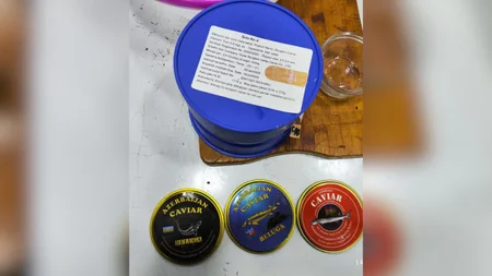 AQTA Çin və Rusiyadan gətirilən kürülərin saxta qablaşdırıldığını aşkarlayıb