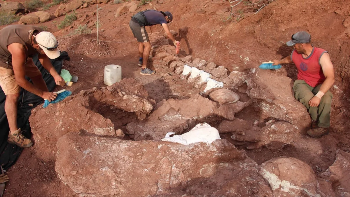 Fossils of largest dinosaur found in Argentina