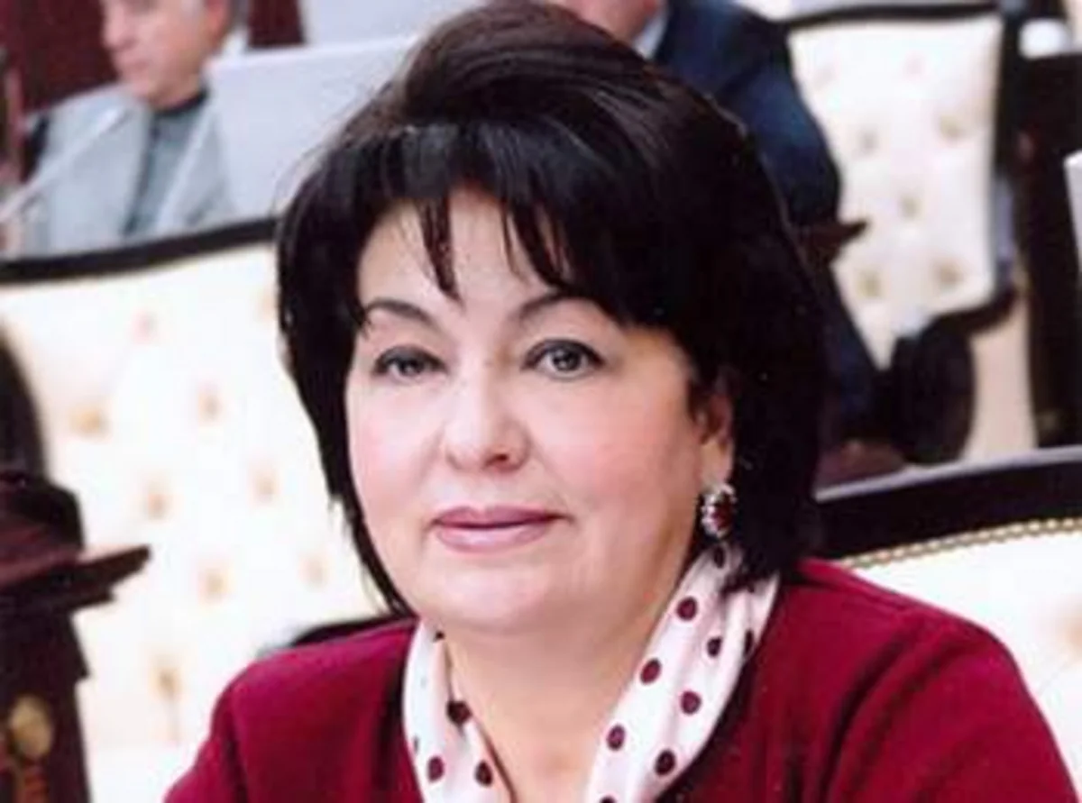 Komitə sədri: Miqrantlara həssas yanaşmaq lazımdır