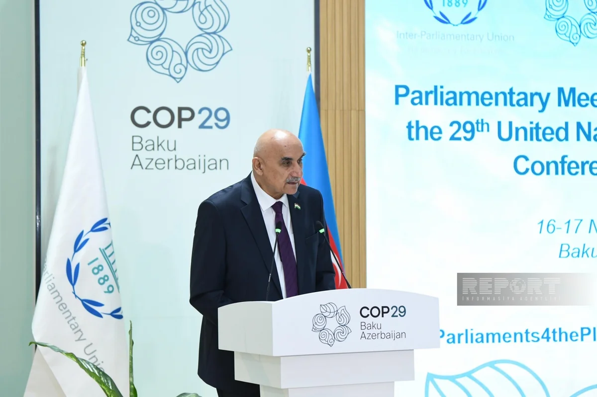 Speaker of Tajikistan Parliament: COP29 will help strengthen cooperation in fighting climate change