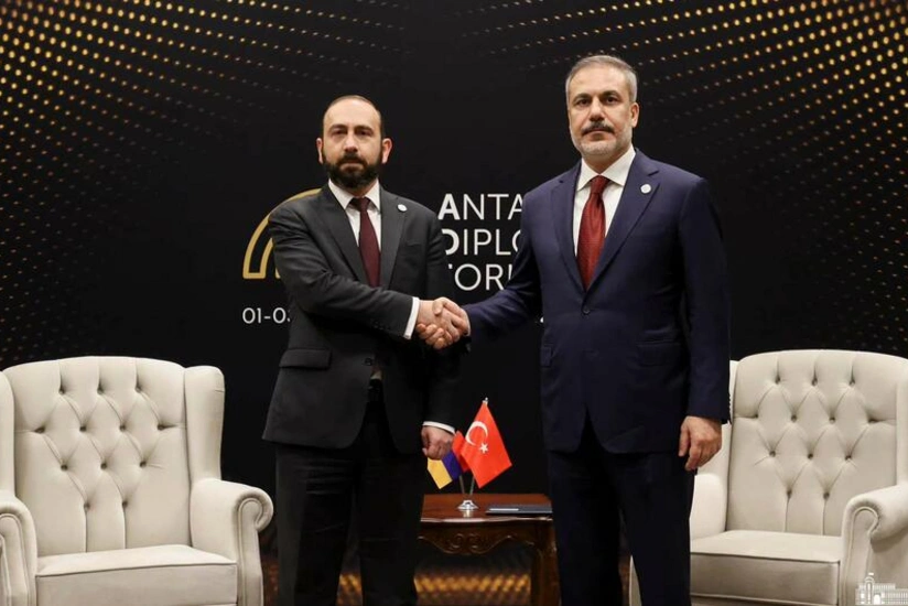 Fidanın Mirzoyanla müzakirə etdiyi məsələlər açıqlanıb - YENİLƏNİB