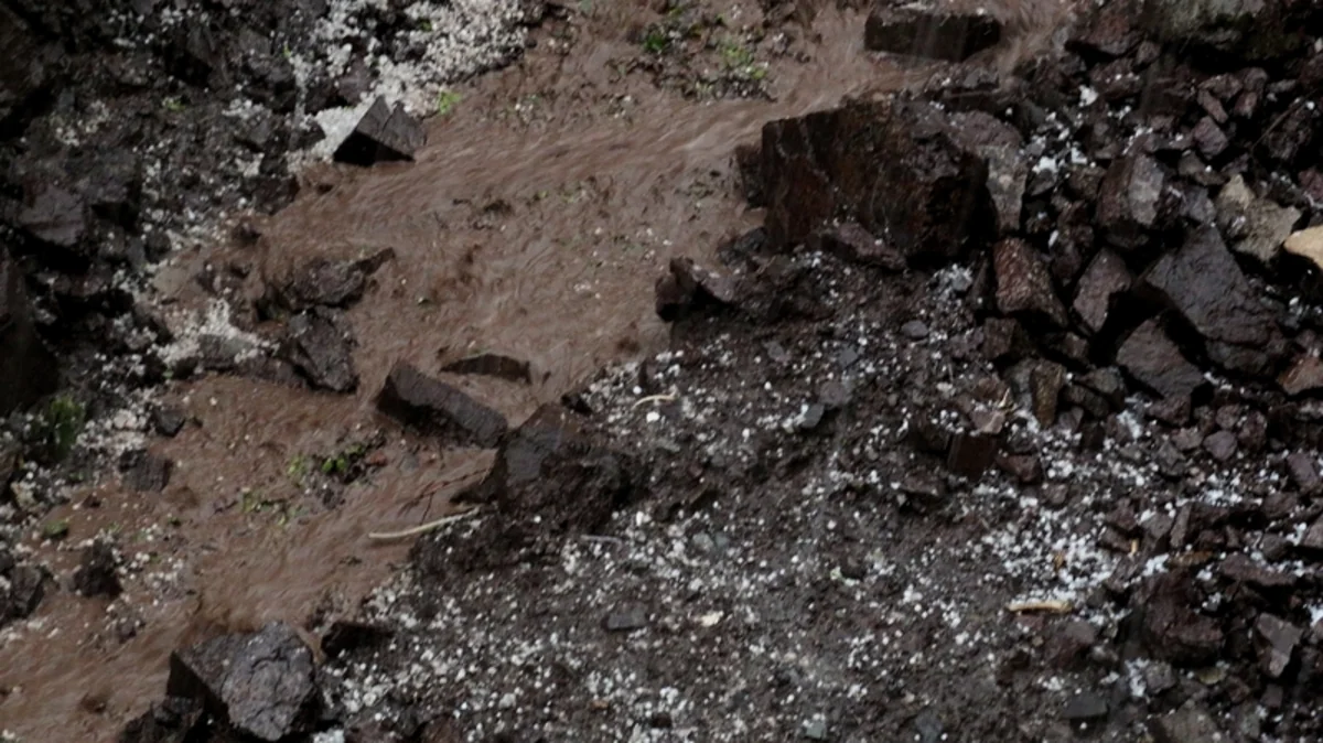 Daşkəsənə yağan güclü dolu əkin sahələrinə ziyan vurub