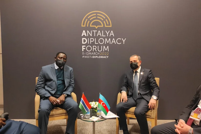 Состоялась встреча глав МИД Азербайджана и Гамбии