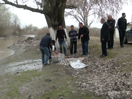 ​Salyanda Akkuşa çayına 30 mindən artıq balıq buraxılıb - FOTO