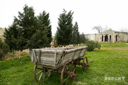 Turist bolluğu yaşayan şəraitsiz qoruq - REPORTAJ