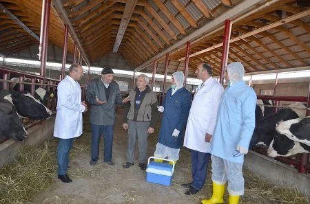 Şəmkirdə peyvəndləmə işləri aparılır