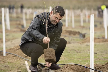 Kənd Təsərrüfatı Nazirliyi ağacəkmə kampaniyasına qatılıb