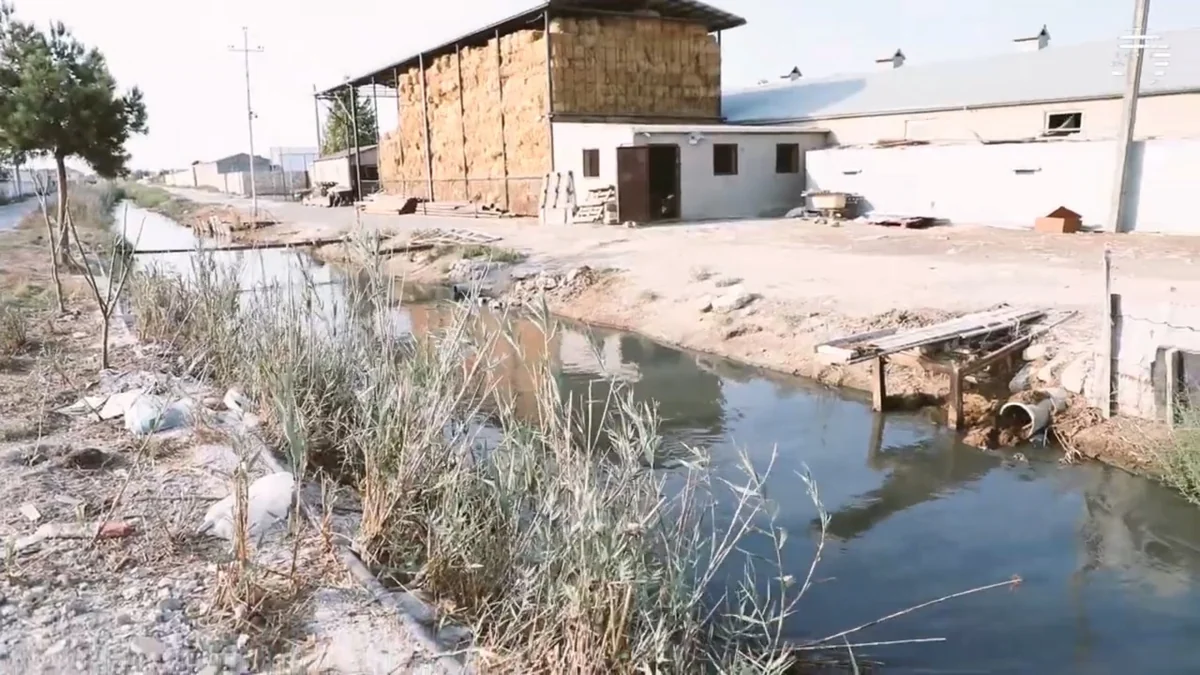 “Fermanın zibilini kanala tökürlər”