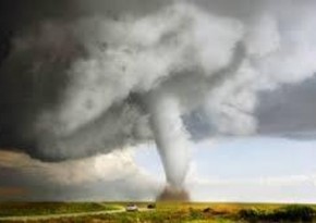 One person killed after suspected tornado hits Auckland