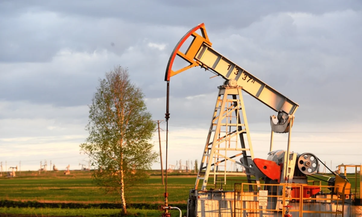 Bloomberg: Индия увеличила импорт нефти ESPO из России