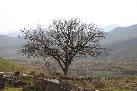 Qubadlıda erməni vandaliziminə məruz qalan qəbiristanlıq - FOTOREPORTAJ