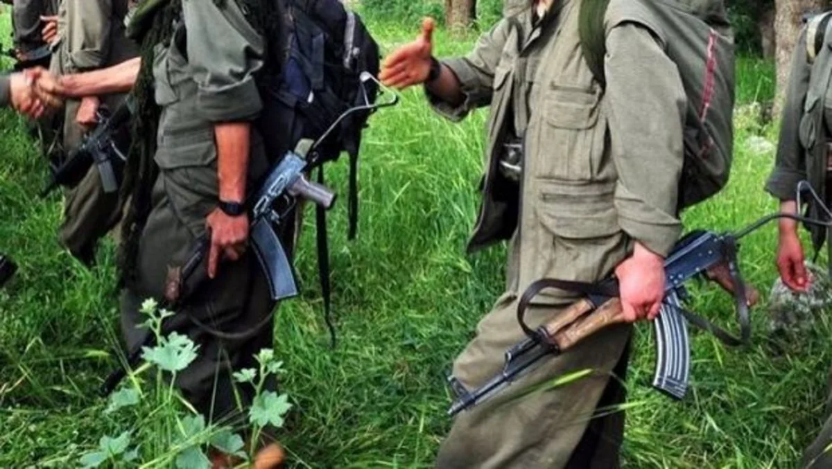 35 PKK terrorists killed in Hakkari province