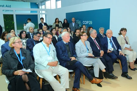 BAMF COP29-da iqlim böhranına qarşı QHT-lərin rolu mövzusunda konfrans təşkil edib