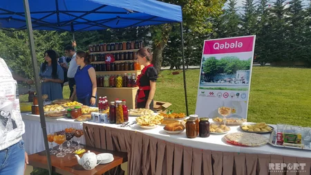 Gabala today hosts the V International Jam Festival