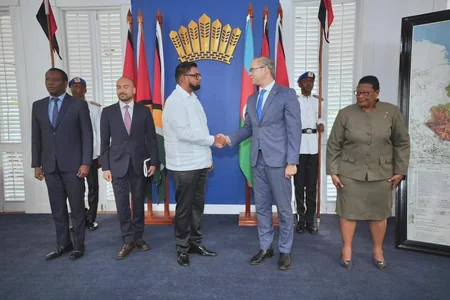Azerbaijani ambassador presents his credentials to presidents of two countries