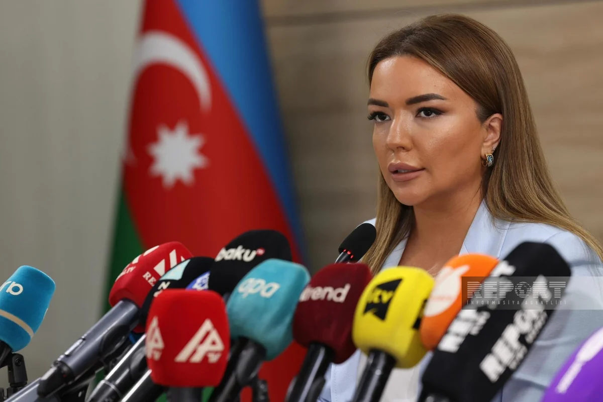 Aygün Əliyeva: “Gələcəkdə karbon vergisinin tətbiqinin nəzərdən keçirilməsi mühüm əhəmiyyətə malikdir”