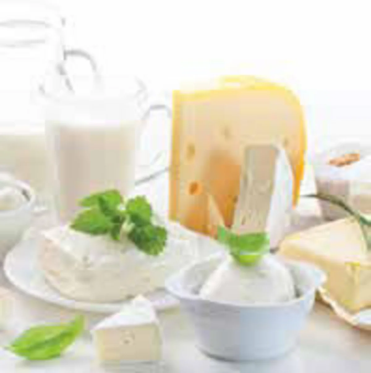 Нальчикский молочный комбинат расширяет географию поставок продукции в Азербайджан
