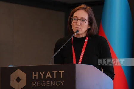 International conference on domestic violence continues in Baku