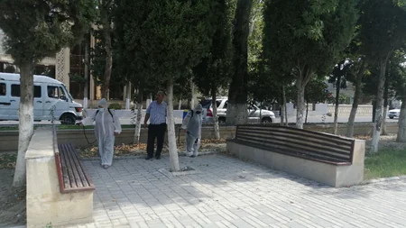 Göyçayda dezinfeksiya işləri aparılır