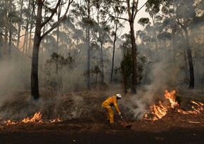 Forest fires in Turkey – act of terror against living beings – COMMENTARY