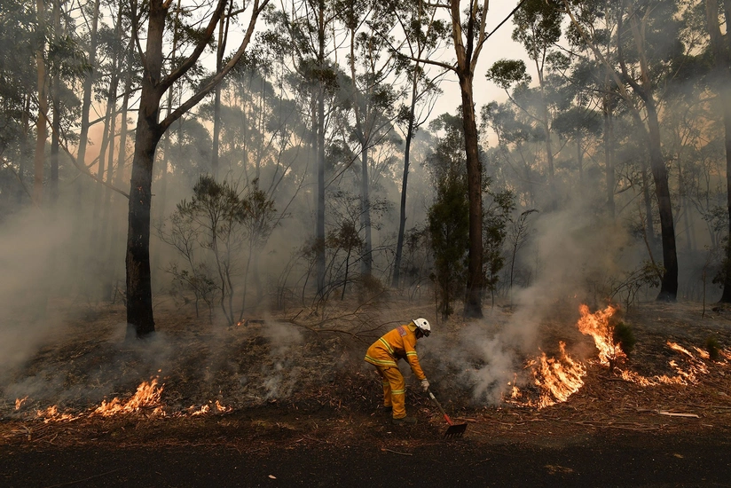 Forest fires in Turkey – act of terror against living beings – COMMENTARY