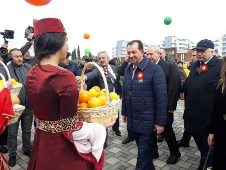 В Лянкяране стартовал III Фестиваль чая, чалтыка и цитрусовых