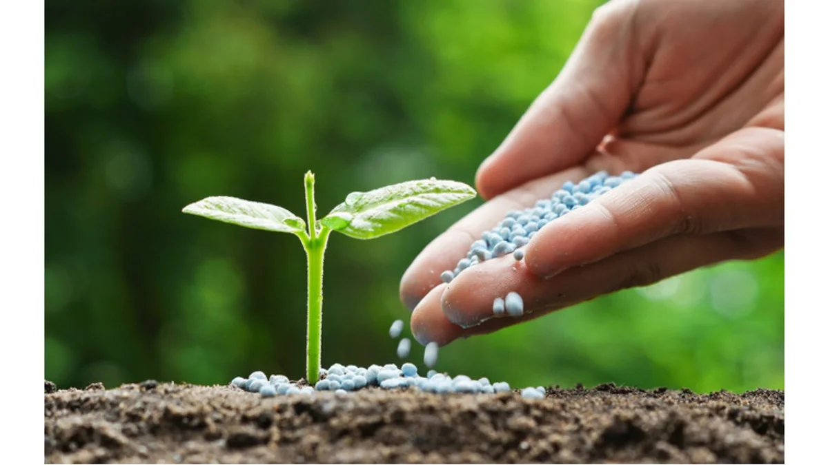 Azerbaijan increases revenues from fertilizer exports by over 77%