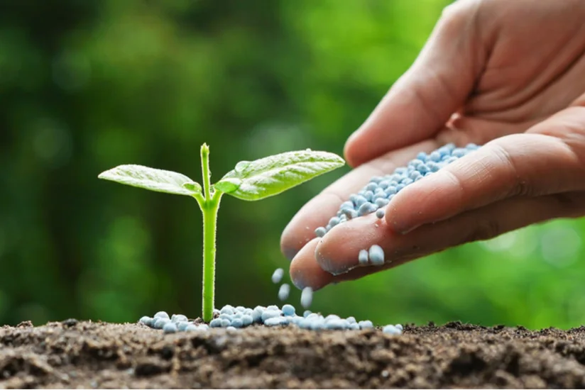 Azerbaijan reduces cost of importing fertilizers by 13%