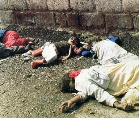 Srebrenitsada soyqırım qurbanı olan daha 136 bosniyalı müsəlman dəfn ediləcək