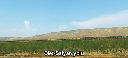 ETSN: Son 3 ayda 160 mindən çox ağac əkilib