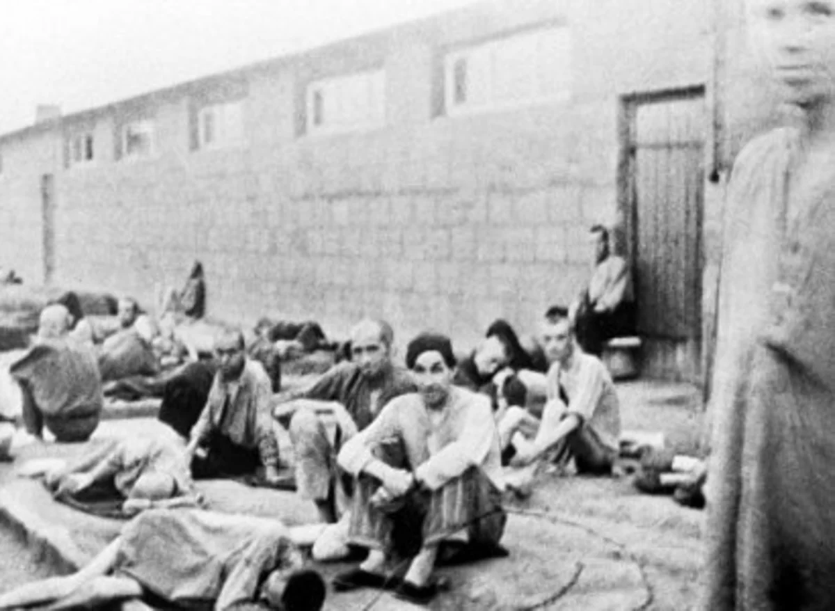 Almaniyada 95 yaşlı nasist 36 min insanın ölümündə ittiham edilir